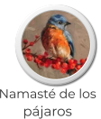 Tarifas  Cabañas Namasté de los pájaros Calamuchita
